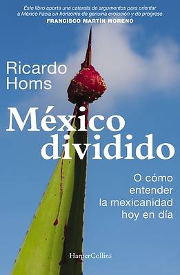 Picture of México Dividido