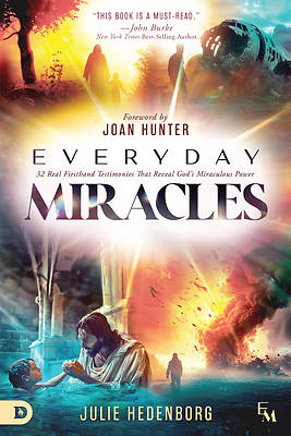 Picture of Everyday Miracles