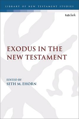 Picture of Exodus in the New Testament