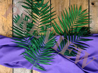 Picture of Download Still Palms, Purple Cloth, Wood Background