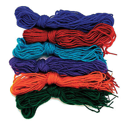 Picture of Vacation Bible School (VBS) Tipped Yarn Laces