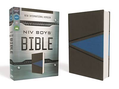Picture of NIV Boys Bible Leathersoft Gray/Blue