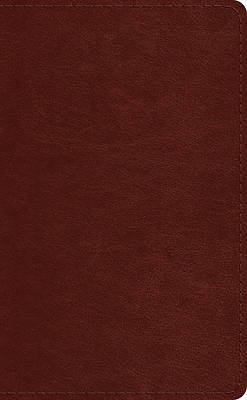 Picture of ESV Pocket Bible (Trutone, Chestnut)