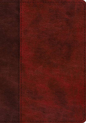 Picture of ESV Study Bible (Trutone, Burgundy/Red, Timeless Design, Indexed)