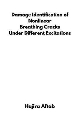 Picture of Damage Identification of Nonlinear Breathing Cracks Under Different Excitations