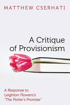 Picture of A Critique of Provisionism