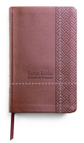 Santa Biblia de Promesas Reina Valera 1960 Cafe Spanish Promise Bible RV60