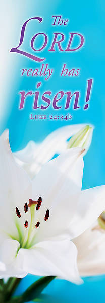 Picture of The Lord Really Has Risen! Easter 2' x 6' Fabric Banner