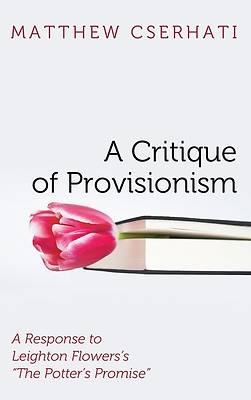 Picture of A Critique of Provisionism