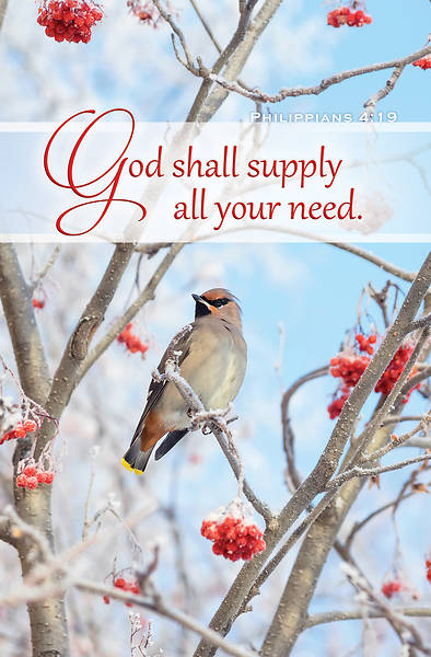 Picture of Bird in Berry Tree Bulletin Regular Philippians 4:19