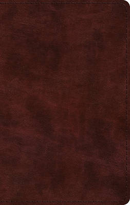 Picture of ESV Large Print Thinline Bible (Trutone, Mahogany)