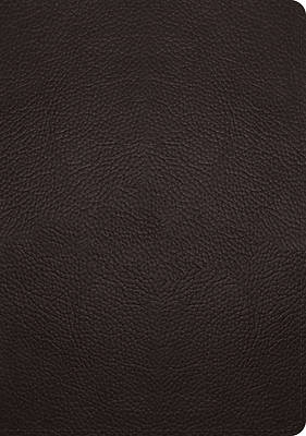 Picture of ESV Study Bible (Buffalo Leather, Deep Brown)