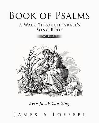 Book of Psalms A Walk Through Israel's Song Book Volume 2