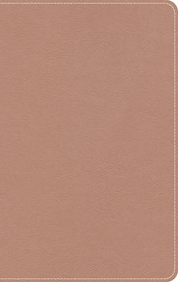 Picture of KJV On-The-Go Bible, Personal Size, Personal Size, Rose Gold Leathertouch