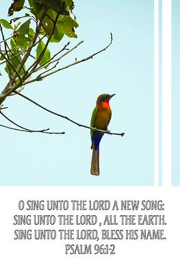 Picture of Sing Unto the Lord Bulletin (Pkg 100) General Worship