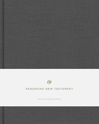 Picture of ESV Panorama New Testament (Cloth Over Board, Gray)