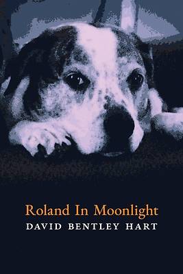 Picture of Roland in Moonlight