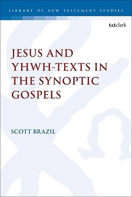 Picture of Jesus and Yhwh-Texts in the Synoptic Gospels