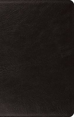 Picture of ESV Large Print Thinline Bible (Black)