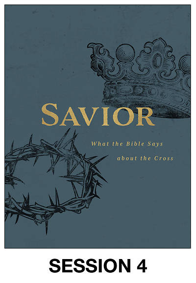Picture of Savior Streaming Video Session 4