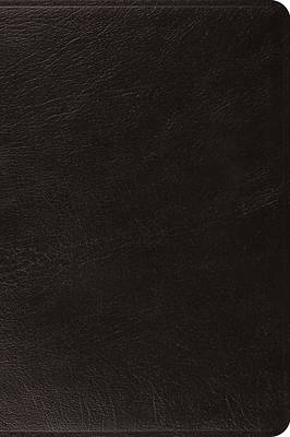 ESV Large Print Bible (Top Grain Leather, Black)