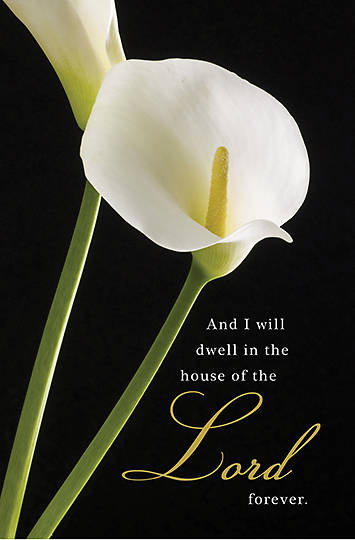 Picture of Calla Lilies Funeral Bulletin (Package of 100)