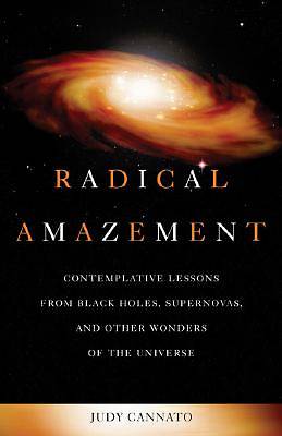 Picture of Radical Amazement