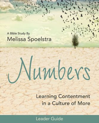 Picture of Numbers Women's Bible Study Leader Guide