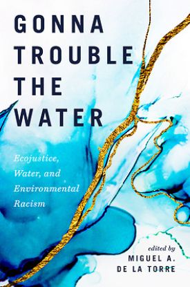 Picture of Gonna Trouble the Water -