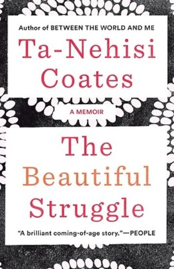 Picture of The Beautiful Struggle