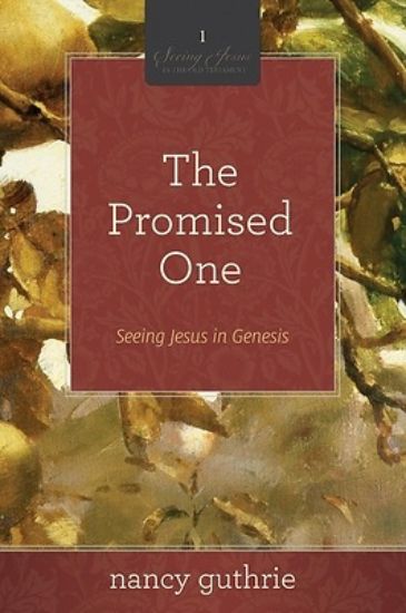 Picture of The Promised One