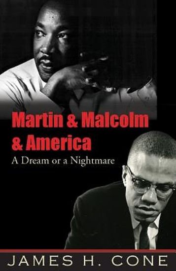 Picture of Martin & Malcolm & America