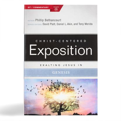Picture of Exalting Jesus in Genesis