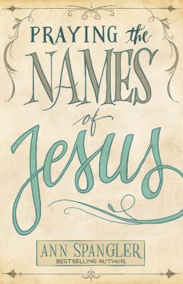 Picture of Praying the Names of Jesus: A Daily Guide