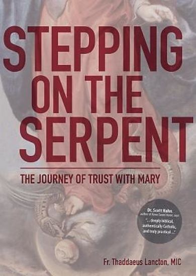 Picture of Stepping on the Serpent