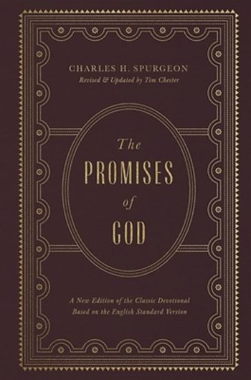 Picture of The Promises of God