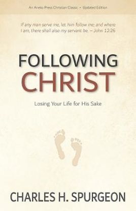 Picture of Following Christ