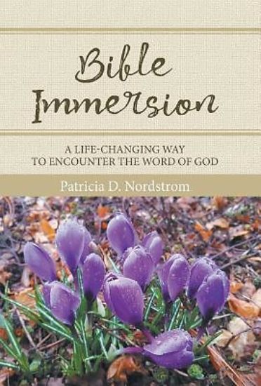 Picture of Bible Immersion