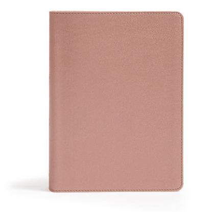 Picture of CSB She Reads Truth Bible, Rose Gold Leathertouch, Indexed