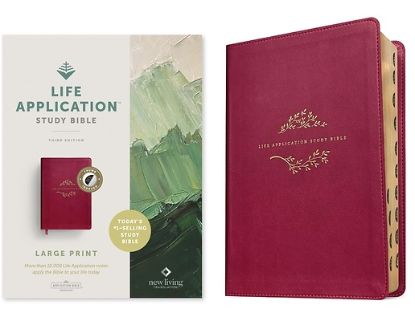 Picture of NLT Life Application Study Bible, Third Edition, Large Print (Red Letter, Leatherlike, Berry, Indexed)