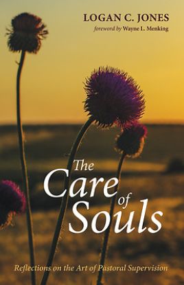 Picture of The Care of Souls