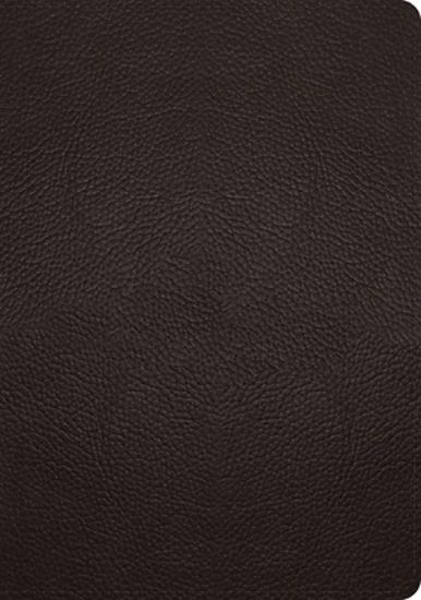 Picture of ESV Study Bible (Buffalo Leather, Deep Brown)