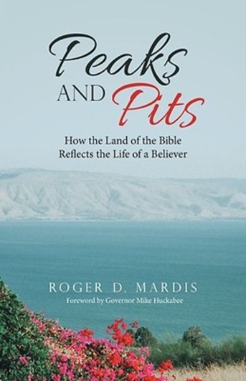 Picture of Peaks and Pits