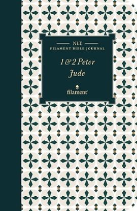 Picture of NLT Filament Bible Journal
