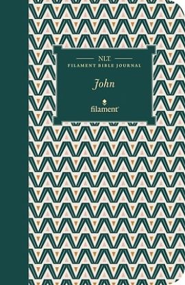 Picture of NLT Filament Bible Journal