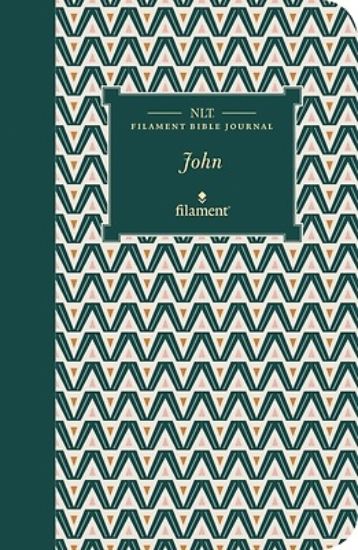 Picture of NLT Filament Bible Journal