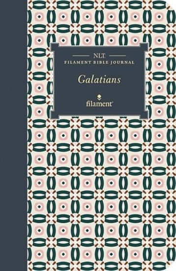 Picture of NLT Filament Bible Journal