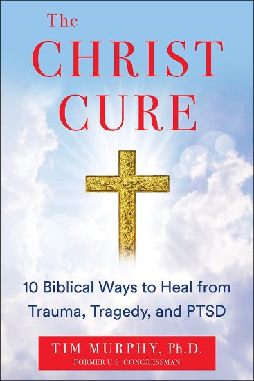Picture of The Christ Cure