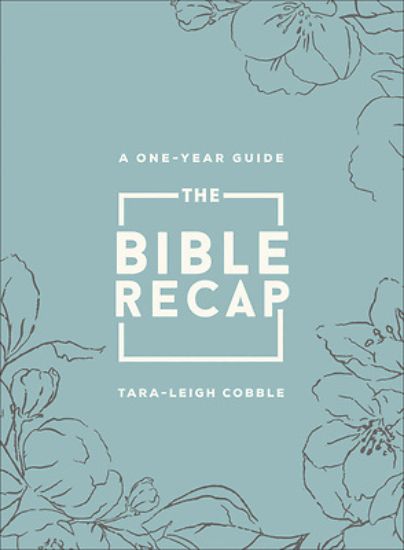 Picture of The Bible Recap