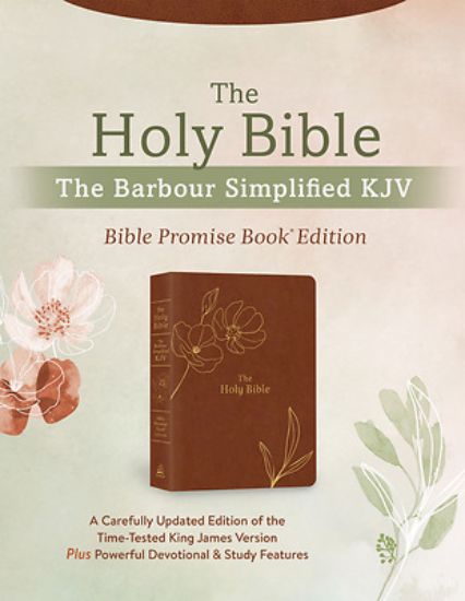 Picture of The Holy Bible